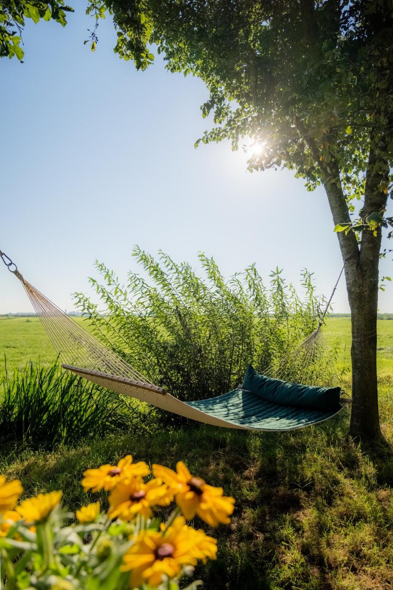 Pean-Buiten Waterlodges Nes  Exteriér fotografie