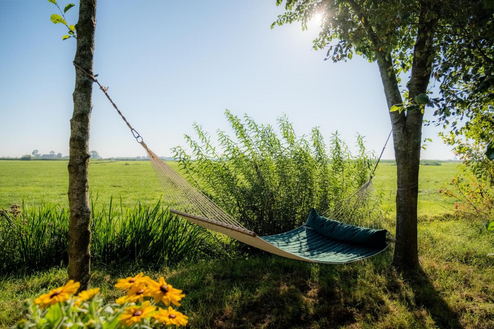 Pean-Buiten Waterlodges Nes  Exteriér fotografie